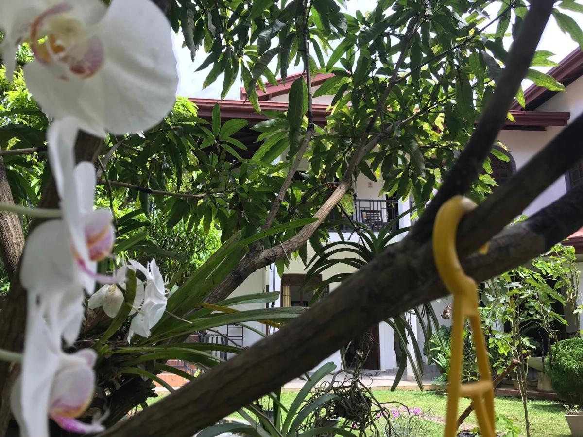 Green Edge Residences Dambulla Kültér fotó