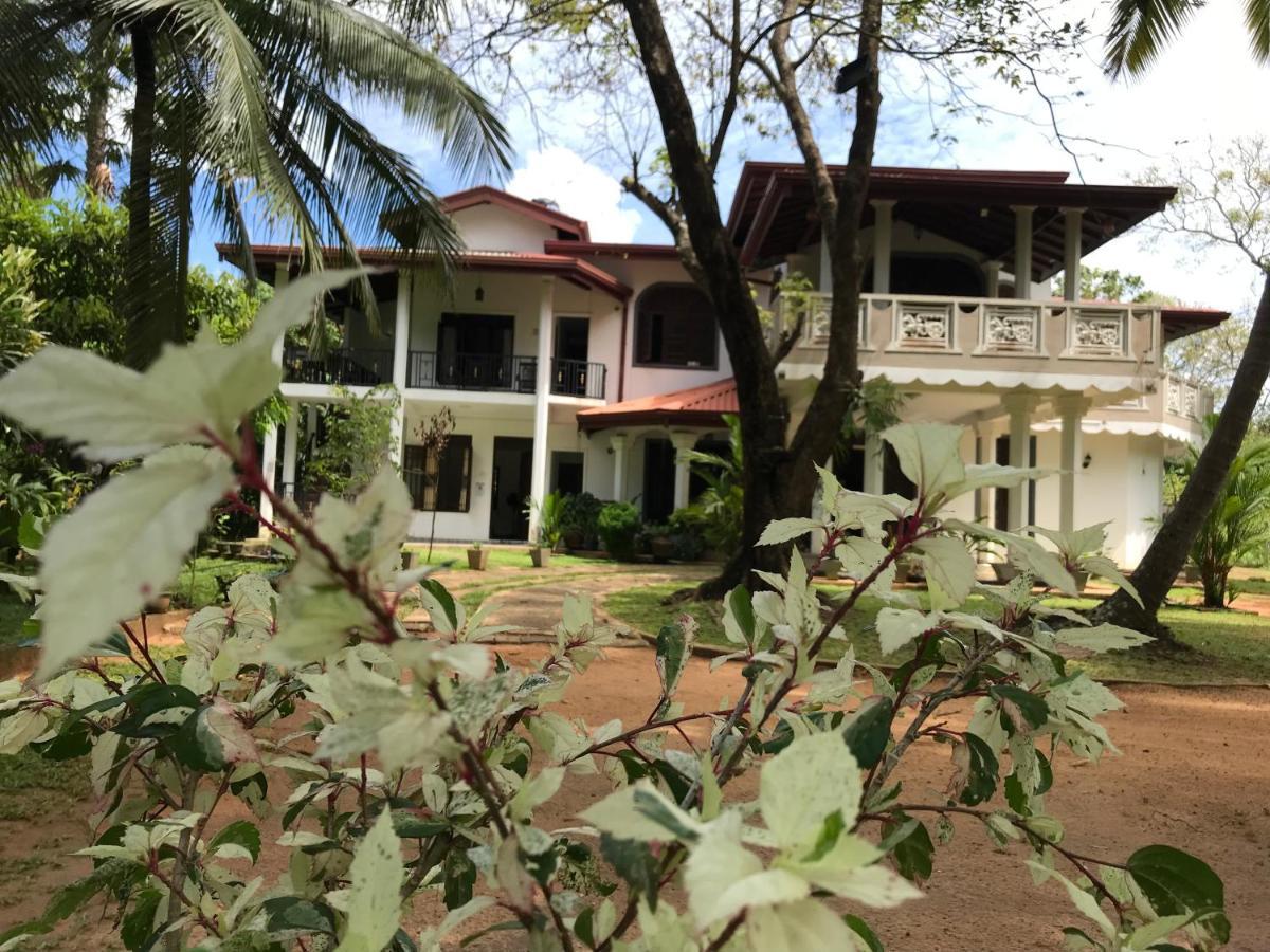 Green Edge Residences Dambulla Kültér fotó